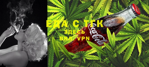 стаф Осташков