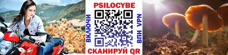 купить наркотик  MEGA ссылка  Псилоцибиновые грибы Cubensis  Рыбное 